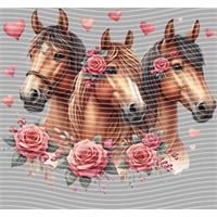 Valentine's Day-QRJ  5869